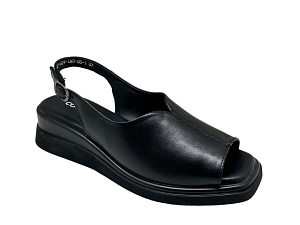 covani